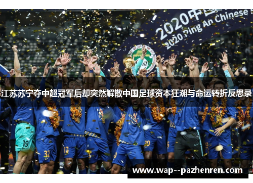 江苏苏宁夺中超冠军后却突然解散中国足球资本狂潮与命运转折反思录 江苏苏宁夺中超冠军后却突然解散中国足球资本狂潮与命运转折反思录