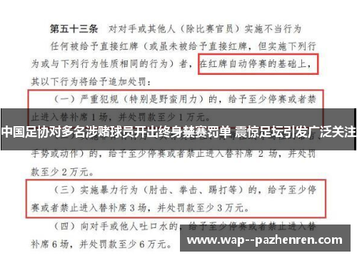 中国足协对多名涉赌球员开出终身禁赛罚单 震惊足坛引发广泛关注