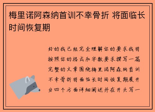 梅里诺阿森纳首训不幸骨折 将面临长时间恢复期