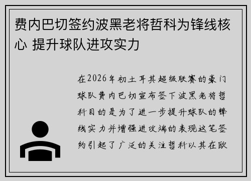 费内巴切签约波黑老将哲科为锋线核心 提升球队进攻实力